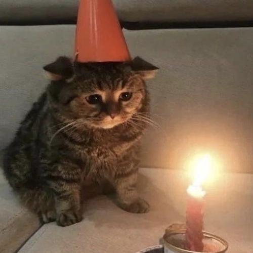 สมาชิกหมายเลข 8520305