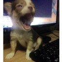 สมาชิกหมายเลข 4024996