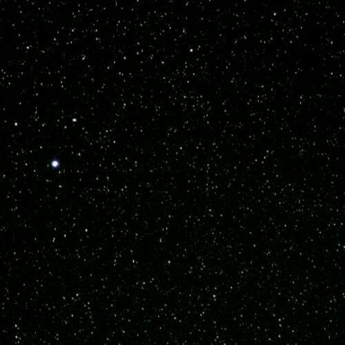 สมาชิกหมายเลข 3956836