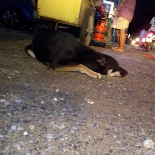 สมาชิกหมายเลข 4054712