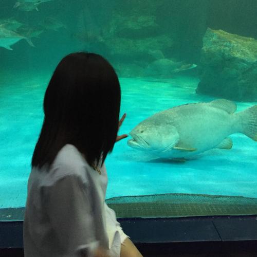 สมาชิกหมายเลข 4819704