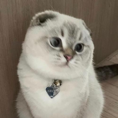 Pomegranate Rose Petal Sorbet