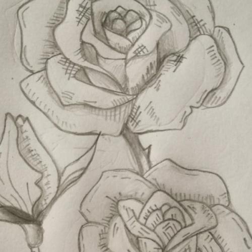 สมาชิกหมายเลข 5460094