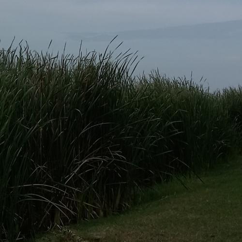 สมาชิกหมายเลข 7594935