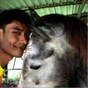 สมาชิกหมายเลข 4021350