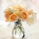 สมาชิกหมายเลข 4025352