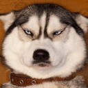 สมาชิกหมายเลข 4025613