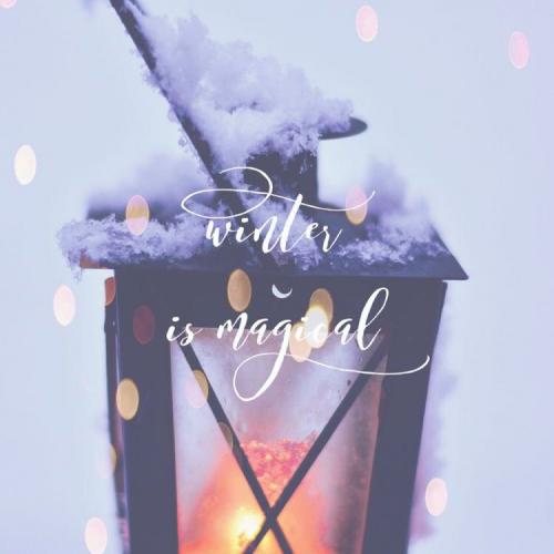 สมาชิกหมายเลข 2603991