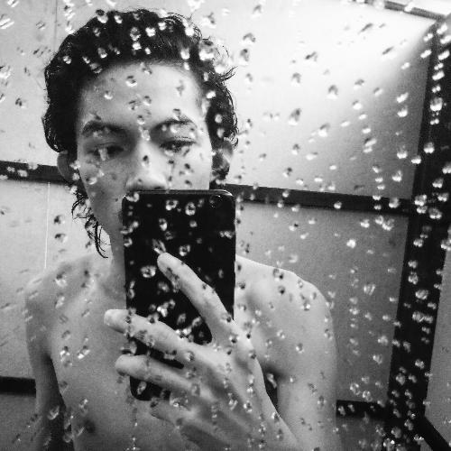 สมาชิกหมายเลข 4430226