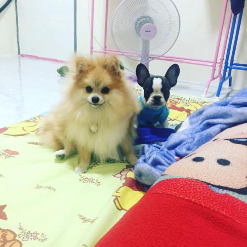 สมาชิกหมายเลข 4820071