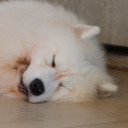 สมาชิกหมายเลข 4820116