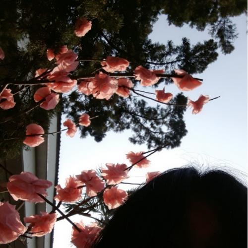 สมาชิกหมายเลข 5204687