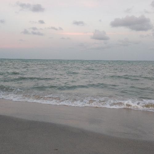 สมาชิกหมายเลข 5204692