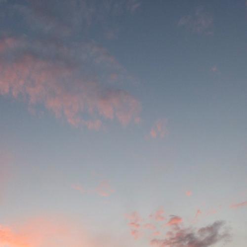 สมาชิกหมายเลข 5618446