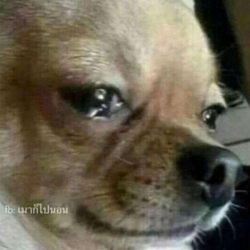 สมาชิกหมายเลข 5618570