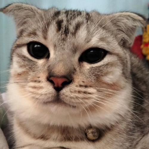 สมาชิกหมายเลข 4221077