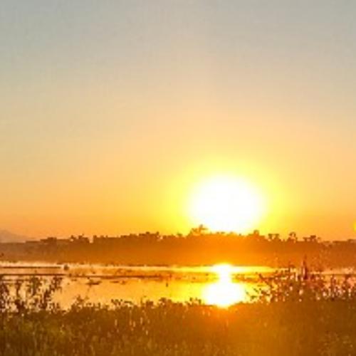 สมาชิกหมายเลข 6185937