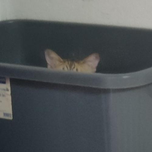 สมาชิกหมายเลข 2060846