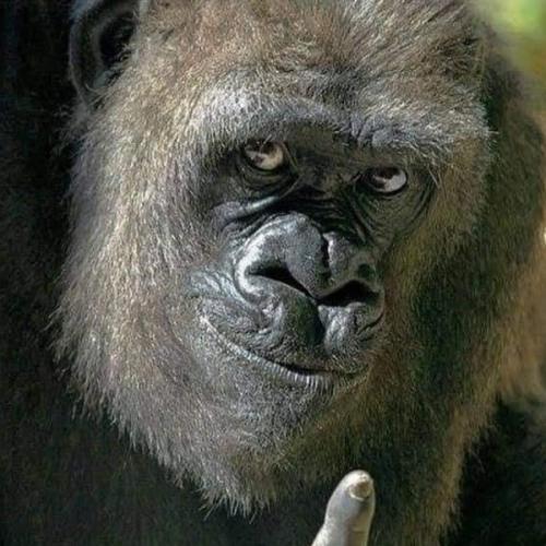 สมาชิกหมายเลข 6526157