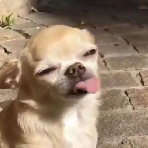 สมาชิกหมายเลข 6706827