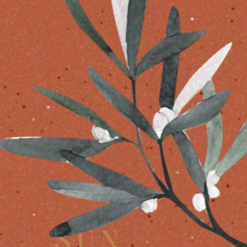 สมาชิกหมายเลข 6826044