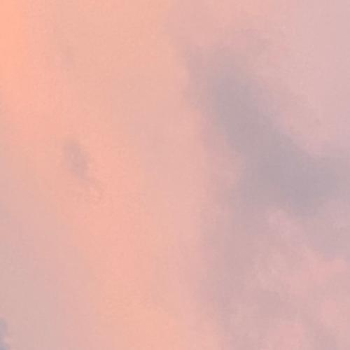 สมาชิกหมายเลข 4445617