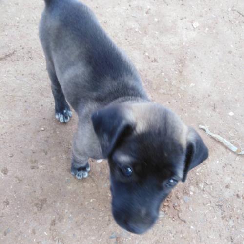 สมาชิกหมายเลข 8138267