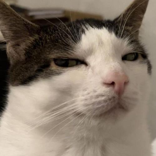 สมาชิกหมายเลข 8511073