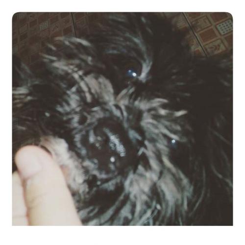 สมาชิกหมายเลข 2559150