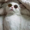 สมาชิกหมายเลข 3816187