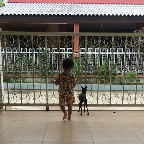 สมาชิกหมายเลข 4473707