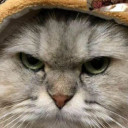 สมาชิกหมายเลข 5204964