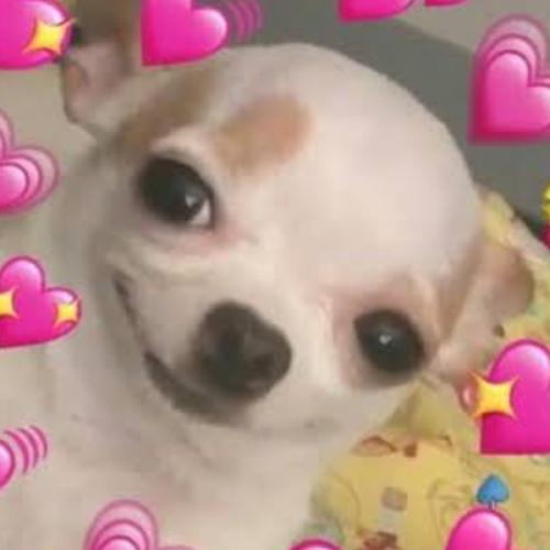 สมาชิกหมายเลข 1947016