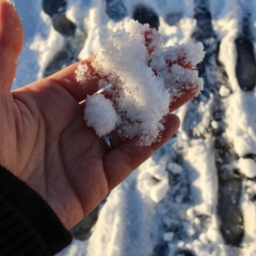 สมาชิกหมายเลข 5619011