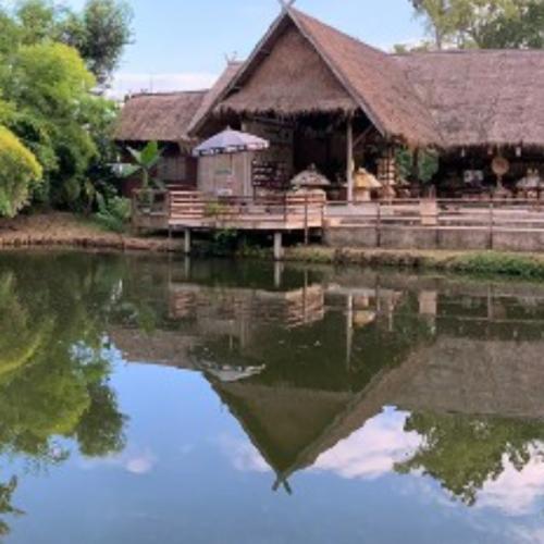 สมาชิกหมายเลข 3131977