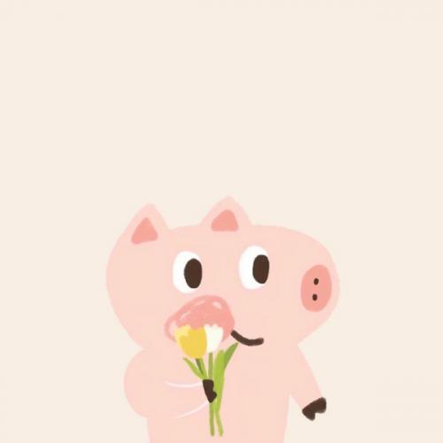 สมาชิกหมายเลข 4515005