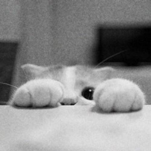 สมาชิกหมายเลข 6186696