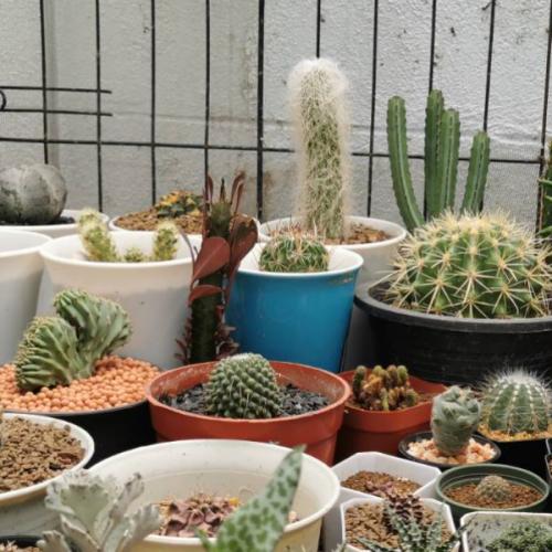 สมาชิกหมายเลข 1204390