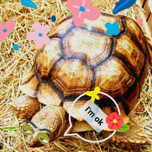 สมาชิกหมายเลข 7597000