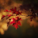 สมาชิกหมายเลข 4820936