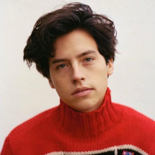 สมาชิกหมายเลข 3652255