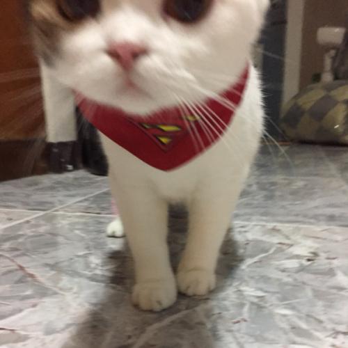 สมาชิกหมายเลข 5619589