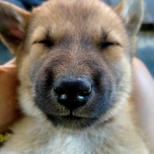 สมาชิกหมายเลข 4916290