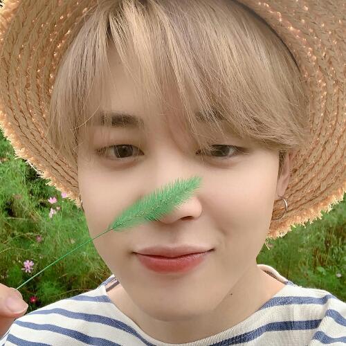 สมาชิกหมายเลข 6187175