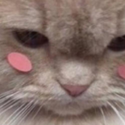 สมาชิกหมายเลข 6685527