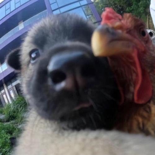 สมาชิกหมายเลข 5689896