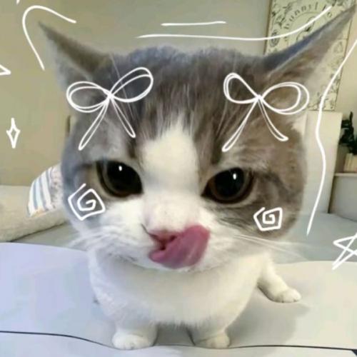 สมาชิกหมายเลข 7950023