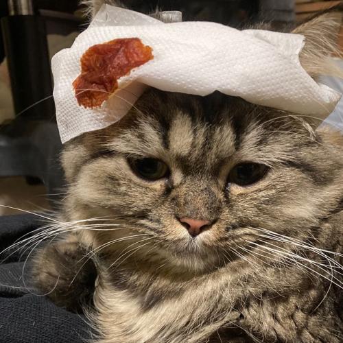 สมาชิกหมายเลข 8047489