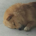 สมาชิกหมายเลข 3157735