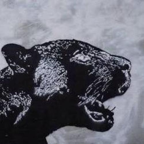 สมาชิกหมายเลข 4764614